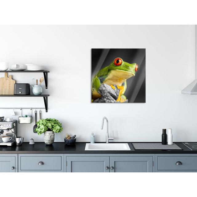 Beautiful Red-Eyed Frog - Unframed Photograph on Glass Brayden Studio Size: 80cm H x 80cm W x 0.4cm D on Productcaster.