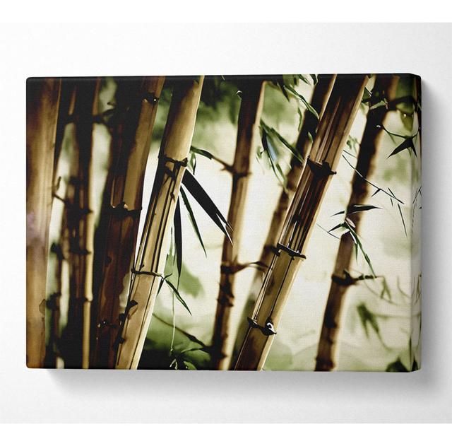 Stunning Bamboo - Print Bay Isle Home Size: 50.8cm H x 81.3cm W x 10cm D on Productcaster.