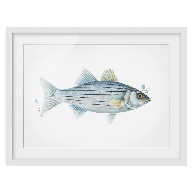 0-0-94/*Picture With Frame - Color Catch - White Perch - Landscape 3:4 Highland Dunes Frame Option: White Framed, Size: 50cm H x 70cm W x 2cm D on Productcaster.