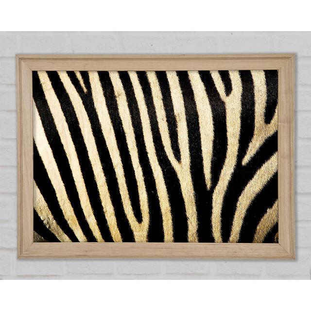 Zebra Pattern Framed Print Canora Grey Size: 84.1cm H x 118.9cm W x 1.5cm D on Productcaster.