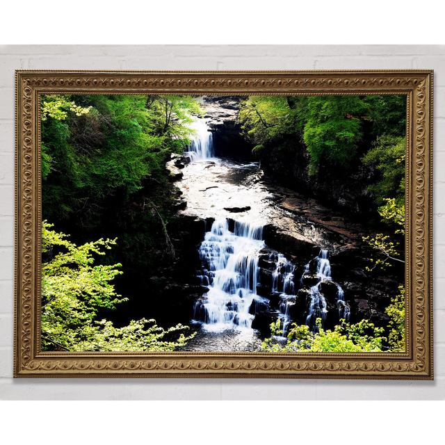 Forest Waterfall Gush - Single Picture Frame Art Prints Union Rustic Size: 84.1cm H x 118.9cm W on Productcaster.