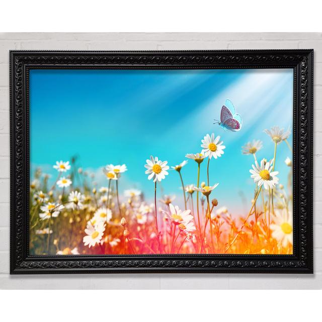 Butterfly Landing On A Daisy - Single Picture Frame Art Prints August Grove Size: 29.7cm H x 42cm W on Productcaster.