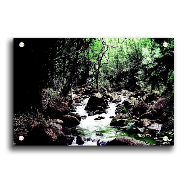 Rain Creek Forest - Unframed Photograph Print on Acrylic East Urban Home Size: 29.7cm H x 42cm W on Productcaster.