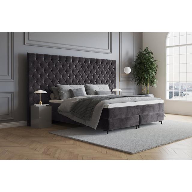 Echtes Boxspringbett Ajala mit Premium Visco Topper, mit Samtstoff bezogen Canora Grey Größe: 240 x 200 cm, Matratzenhärte: H2 - bis etwa 75 kg, Farbe on Productcaster.