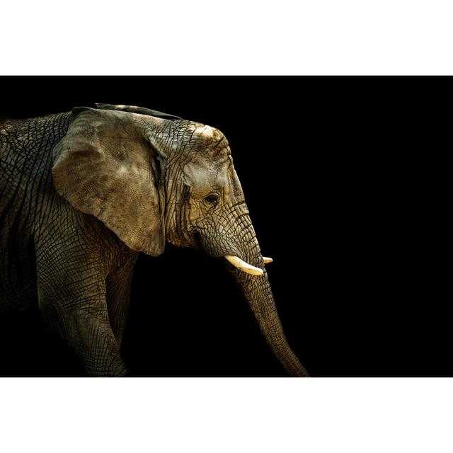 African Elephant by Denisapro - Wrapped Canvas Print 17 Stories Size: 61cm H x 91cm W x 3.8cm D on Productcaster.