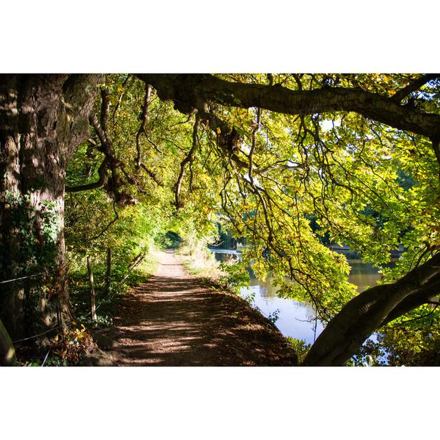 Thames Path at Goring by JoeDunckley - Wrapped Canvas Photograph Alpen Home Size: 20cm H x 30cm W on Productcaster.