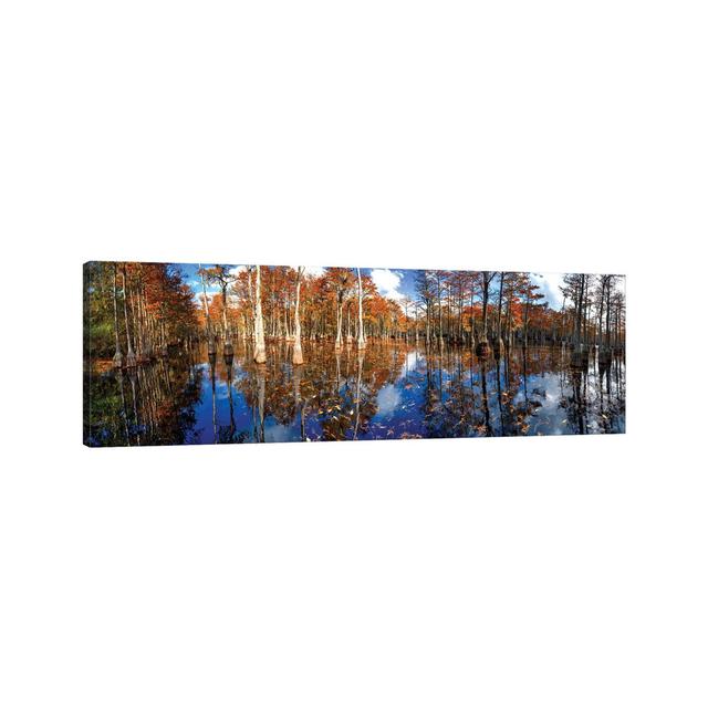 Cypress Swamp Panorama In George L. Smith State Park, Georgia by OLena Art - Wrapped Canvas Panoramic Print Union Rustic Size: 30.48cm H x 91.44cm W x on Productcaster.