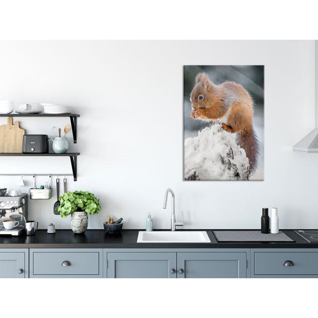 Little Squirrel In Winter - No Frame Print on Glass Brayden Studio Size: 100cm H x 70cm W x 0.4cm D on Productcaster.