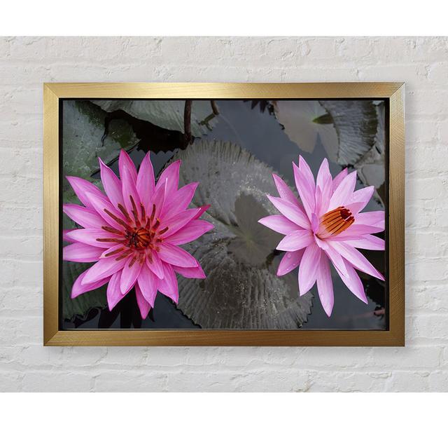 Pink Flowers In The Lake - Single Picture Frame Art Prints Bright Star Size: 59.7cm H x 84.1cm W on Productcaster.