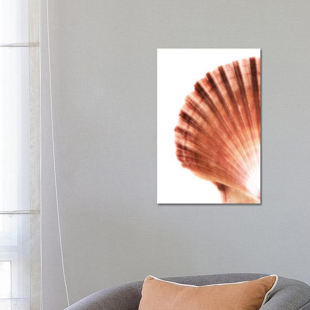 PHD952_Scallop Seashell House of Hampton Size: 66.04cm H x 45.72cm W x 1.9cm D on Productcaster.