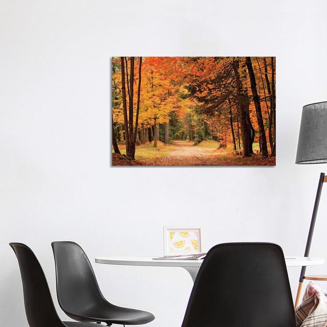 Autumn Walk by Andrea Stokes - Wrapped Canvas Print Alpen Home Size: 66.04cm H x 101.6cm W x 3.81cm D on Productcaster.