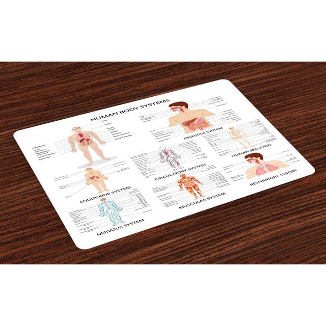 Malvina Human Anatomy Different Bodies Placemat (Set of 4) Happy Larry on Productcaster.