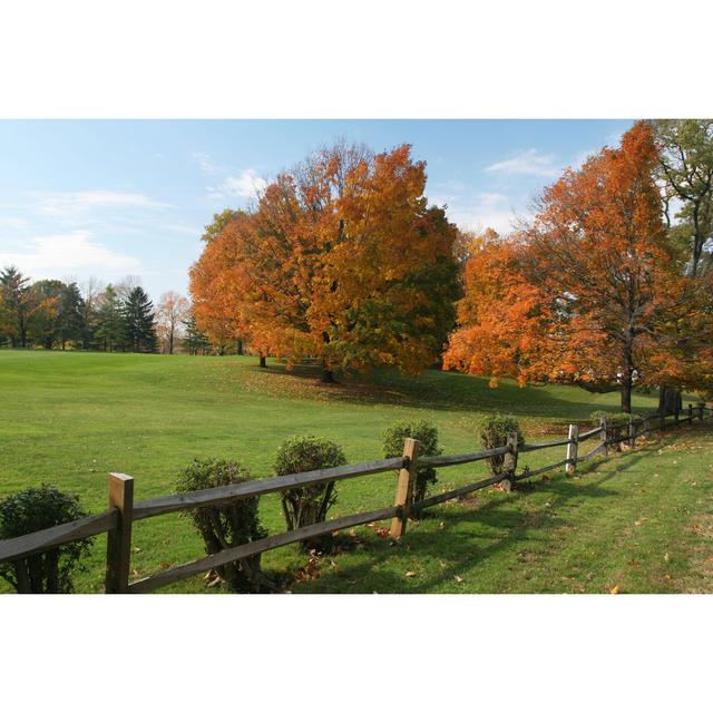 Autumn Field by StanRohrer - No Frame Print on Canvas Latitude Run Size: 81cm x 122cm W on Productcaster.