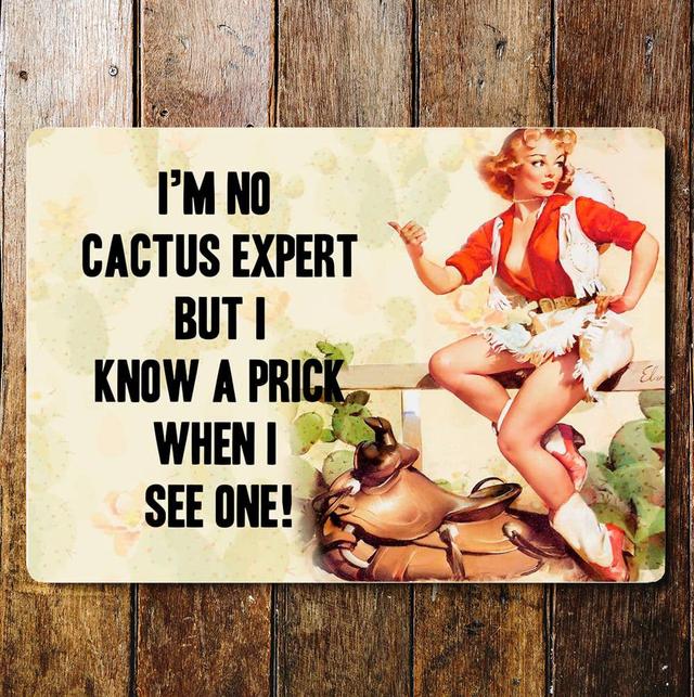 I'm No Cactus Expert But I Know A Prick Wall Décor East Urban Home Size: 20cm H x 25cm W on Productcaster.