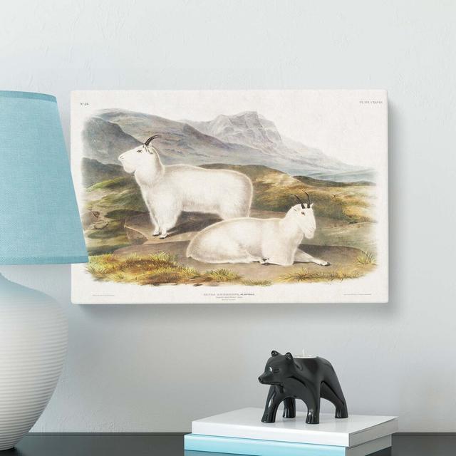 Rocky Mountain Goats by J.W. Audubon - Wrapped Canvas Painting Print East Urban Home Size: 40cm H x 60cm W x 3cm D on Productcaster.