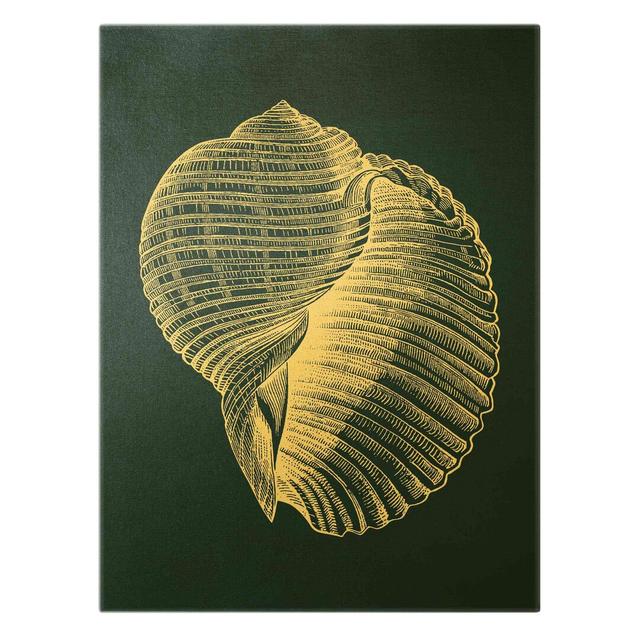 Illustration Of A Shell On A Blue Background - Wrapped Canvas Rectangle Graphic Art on Highland Dunes on Productcaster.