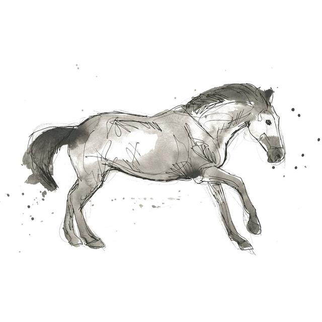 Equine Impressions I - Wrapped Canvas Drawing Brambly Cottage Size: 51cm H x 76cm W on Productcaster.