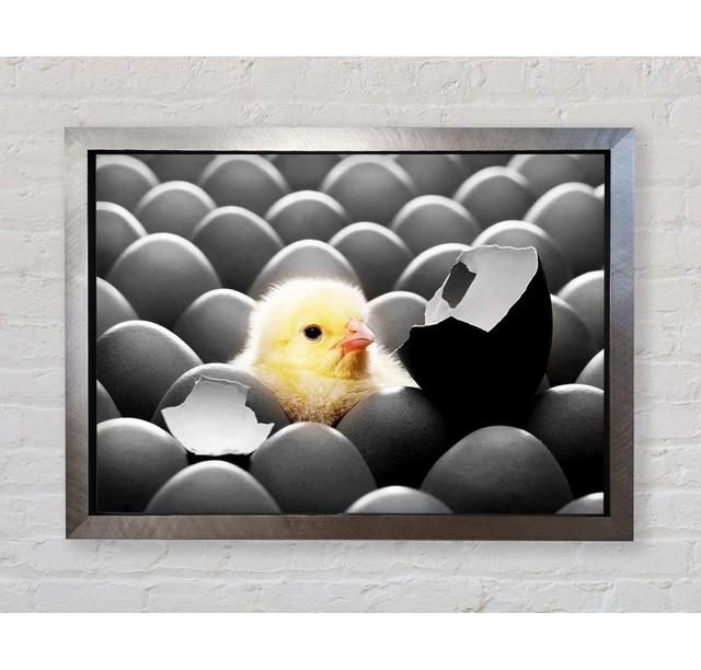 Chick Hatching - Print Bright Star Size: 84.1cm H x 118.9cm W x 3.4cm D on Productcaster.