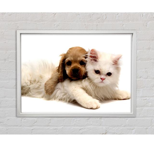 Puppy And Kitten Love - Print Bright Star Size: 84.1cm H x 118.9cm W on Productcaster.