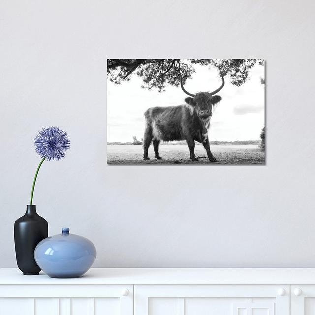 You Looking At Me - Wrapped Canvas Gallery-Wrapped Canvas Giclée Natur Pur Size: 45.72cm H x 30.48cm W x 1.905cm D on Productcaster.