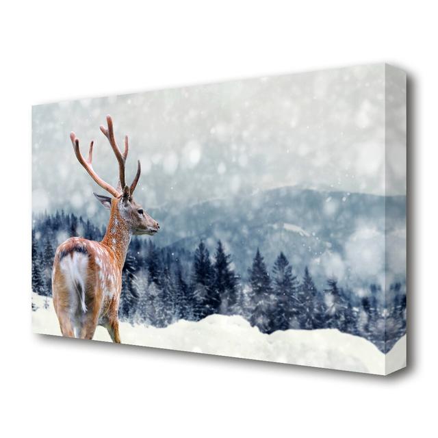 Winter Deer Wildlife - Wrapped Canvas Photograph Print East Urban Home Size: 101.6 cm H x 142.2 cm W on Productcaster.