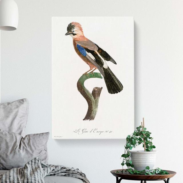 Eurasian Jay Bird by Jacques Barraband - Wrapped Canvas Painting Print East Urban Home Size: 50cm H x 35cm W x 3cm D on Productcaster.