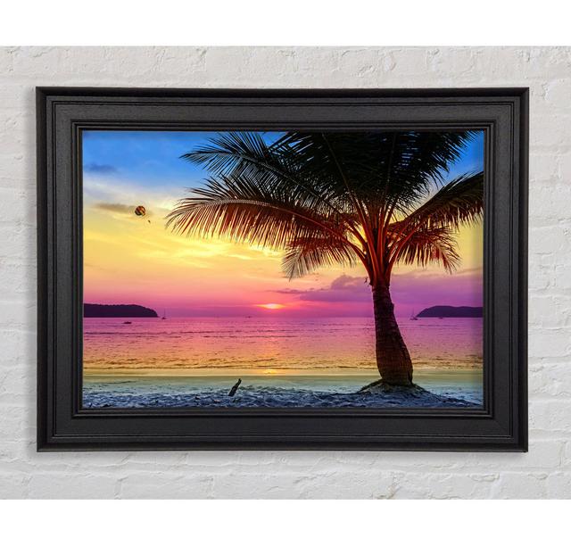 The Colours Of Paradise Framed Print Highland Dunes Size: 59.7cm H x 84.1cm W on Productcaster.