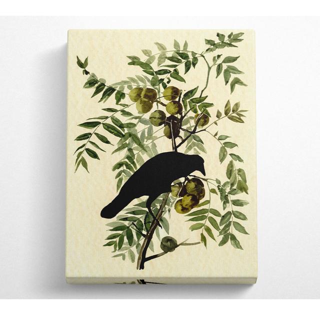 Audubon American Crow Plate 156 - Print Marlow Home Co. Size: 50.8cm H x 35.6cm W x 10cm D on Productcaster.