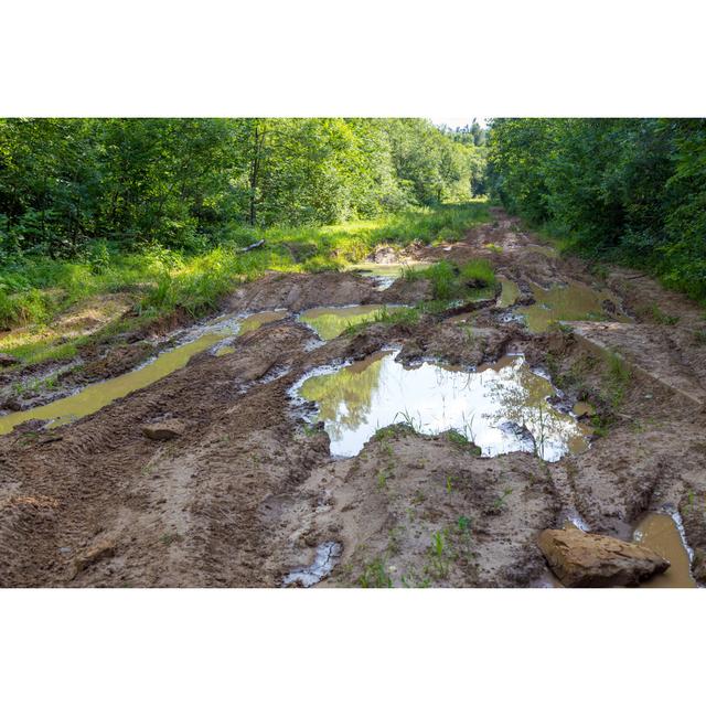 Muddy Road In Forest by - Wrapped Canvas Photograph Alpen Home Size: 30cm H x 46cm W on Productcaster.