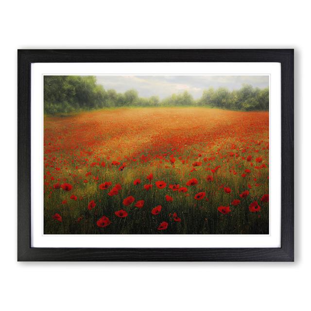 XH1022-8874X Terrific Poppy Field Flowers - Single Picture Frame Painting Marlow Home Co. Size: 34cm H x 46cm W x 2cm D, Frame Colour: Black on Productcaster.