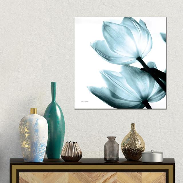 Translucent Tulips II In Aqua by Debra Van Swearingen - Gallery-Wrapped Canvas Giclée on Canvas Ebern Designs Size: 45.72cm H x 45.72cm W x 3.81cm D, on Productcaster.