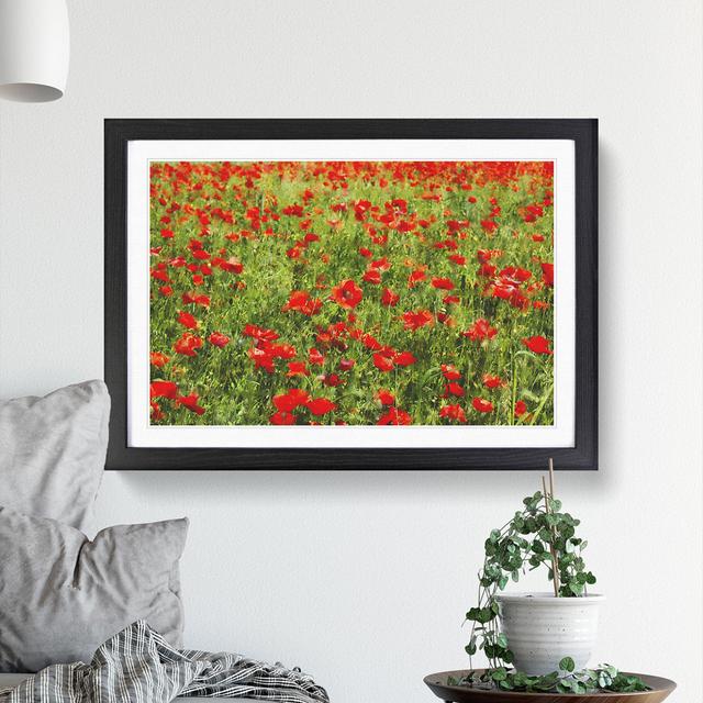 Field of Poppies Vol.2 - Picture Frame Graphic Art East Urban Home Frame Option: Black Framed, Size: 27cm H x 36cm W x 2cm D on Productcaster.