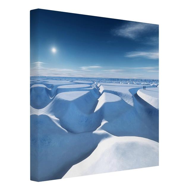 Leinwandbild Glacier Run von Not An Artist Ebern Designs Format: Leinwand 260g/m², Größe: 50 cm H x 50 cm B on Productcaster.