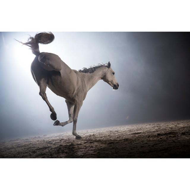 White Horse Bucking by Simonkr - No Frame Art Prints on Canvas Natur Pur Size: 80cm H x 120cm W on Productcaster.