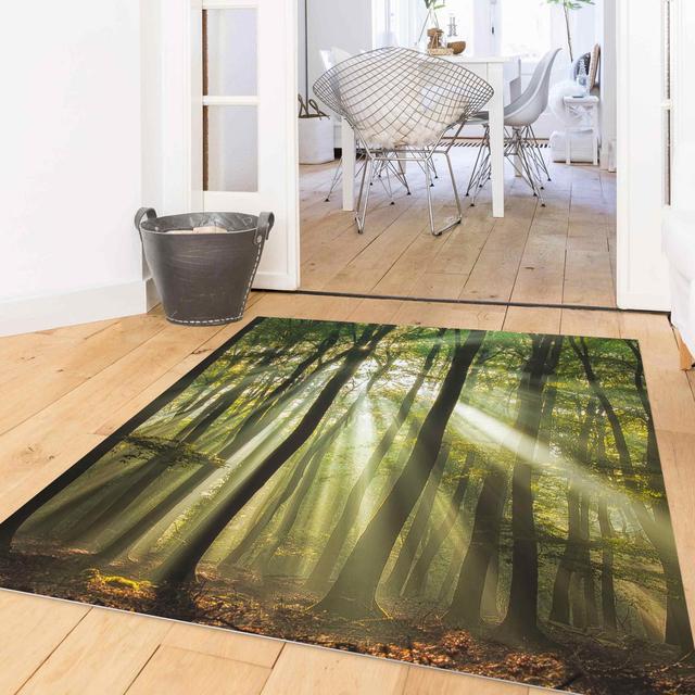 Square Froemming No Pattern And Not Solid Colour Green/Black Indoor / Outdoor Area Rug East Urban Home Rug Size: Square 140cm on Productcaster.