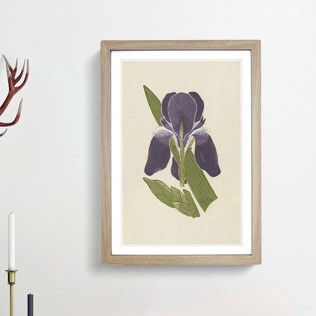 Flower Illustration by Owen Jones - Picture Frame Painting Print East Urban Home Frame Option: Oak Framed, Size: 36cm H x 27cm W x 2cm D on Productcaster.