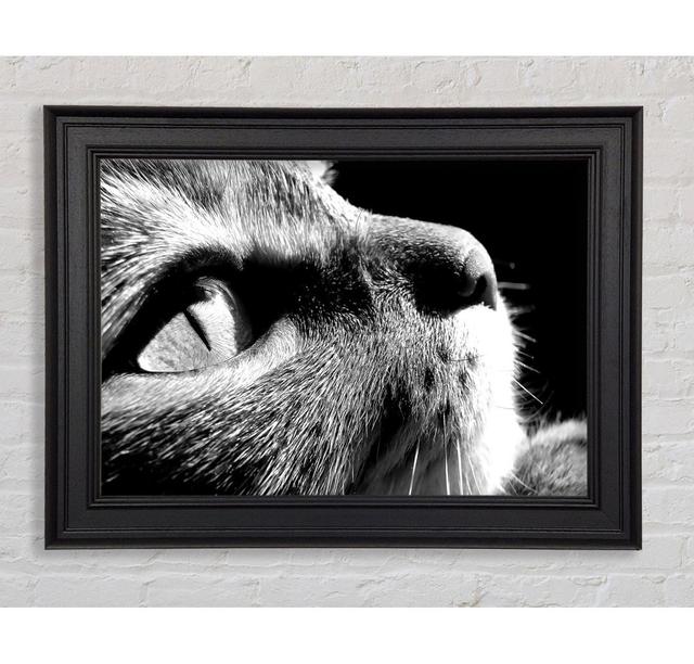 Single Picture Frame Art Prints Ebern Designs Size: 100cm H x 141.4cm W on Productcaster.