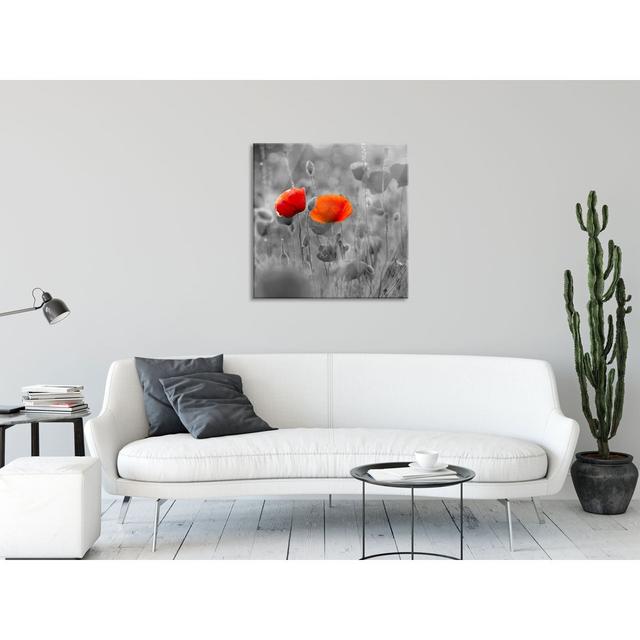 Glasbild Poppies in Poppy Field Brayden Studio Größe: 80 cm H x 80 cm B x 0.4 cm T on Productcaster.