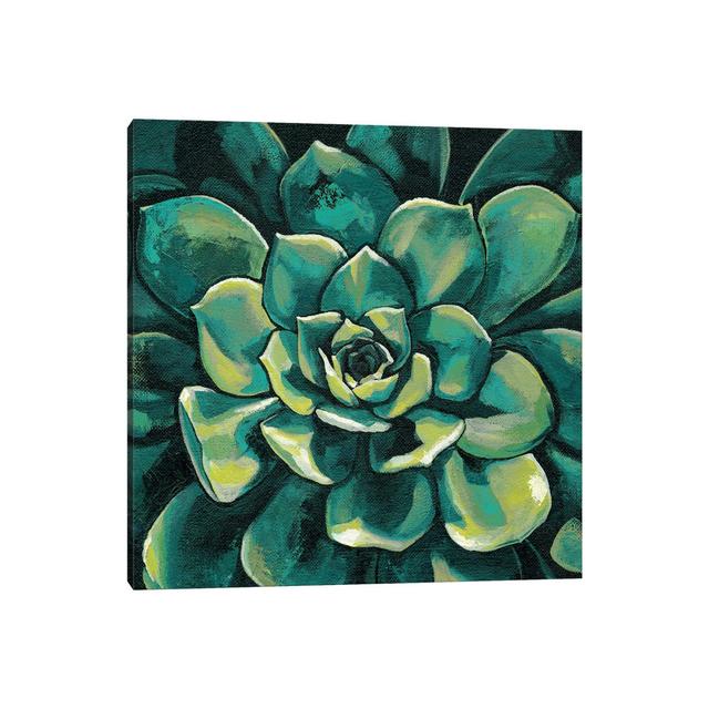 Succulent Bloom I by Megan Meagher - Wrapped Canvas Print World Menagerie Size: 30.48cm H x 30.48cm W x 1.91cm D on Productcaster.