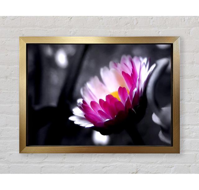 Pink Flower On Black And White Background - Single Picture Frame Art Prints Latitude Run Format: Gold Framed Paper, Size: 42cm H x 59.7cm W x 3.4cm D on Productcaster.