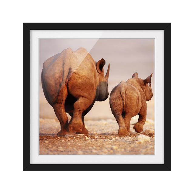 Wandering Rhinos Framed Photographic Art Print East Urban Home Frame Options: Matt black, Size: 50cm H x 50cm W on Productcaster.