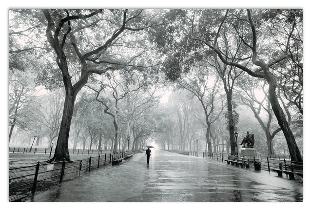 'Poets Walk' by Henri Silberman Photographic Print East Urban Home on Productcaster.