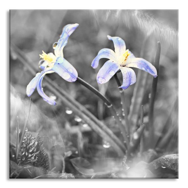 Beautiful Small Forest Flower - No Frame Print on Glass Ebern Designs Size: 60cm H x 60cm W x 0.4cm D on Productcaster.