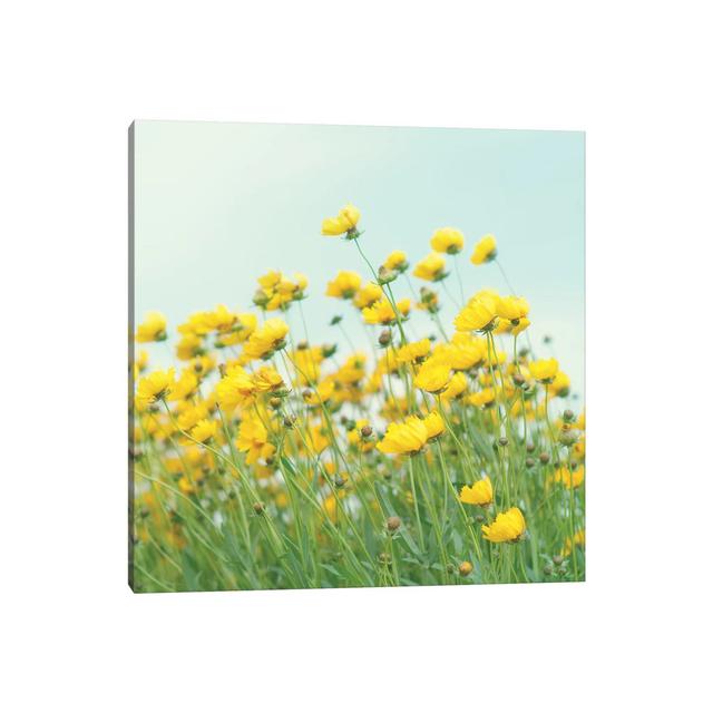 Field Of Yellow Flowers Crop by Mandy Lynne - Wrapped Canvas Gallery-Wrapped Canvas Giclée ClassicLiving Size: 45.72cm H x 45.72cm W x 1.91cm D on Productcaster.