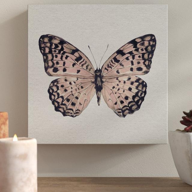 Pink and Black Butterfly II by Marmont Hill - Floater Frame Painting Print on Canvas East Urban Home Size: 122 cm H x 122 cm W x 4 cm D on Productcaster.