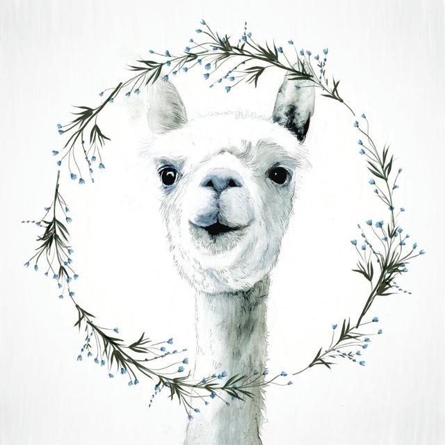 Alpaca Wreath - Wrapped Canvas Painting Latitude Vive Size: 91cm H x 91cm W x 3.8cm D on Productcaster.