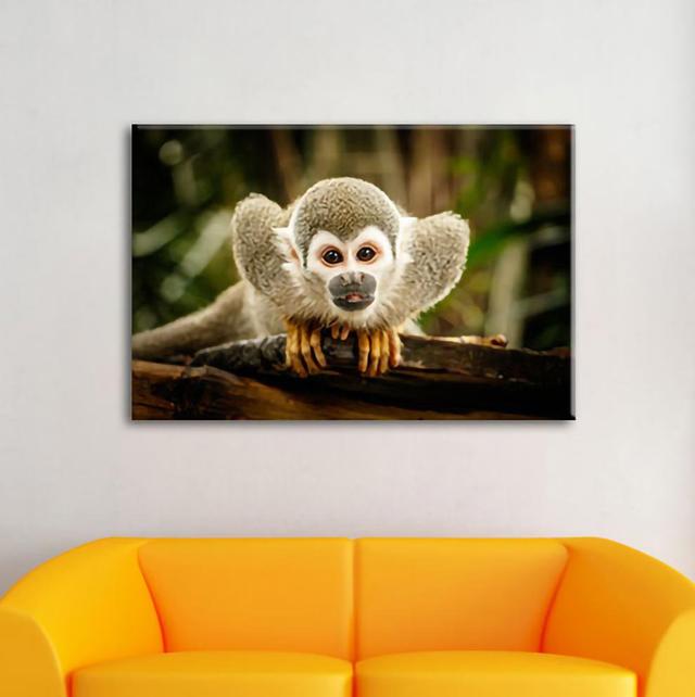 Leinwandbild Curious Squirrel Monkey on Branch World Menagerie Maße: 40 cm H x 60 cm B x 1,8 cm T on Productcaster.