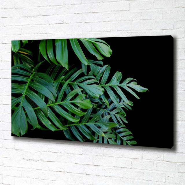 Monstera - Wrapped Canvas Art Prints Bay Isle Home on Productcaster.