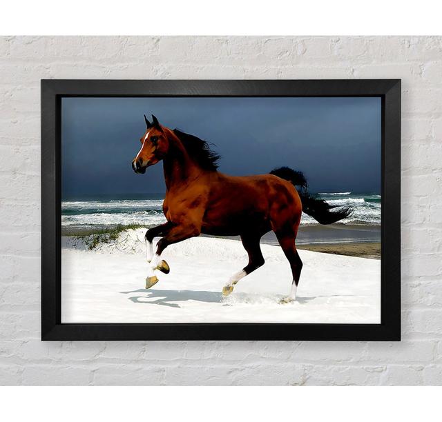 Galloping Horse - Print Bright Star Size: 59.7cm H x 84.1cm W x 3.4cm D on Productcaster.