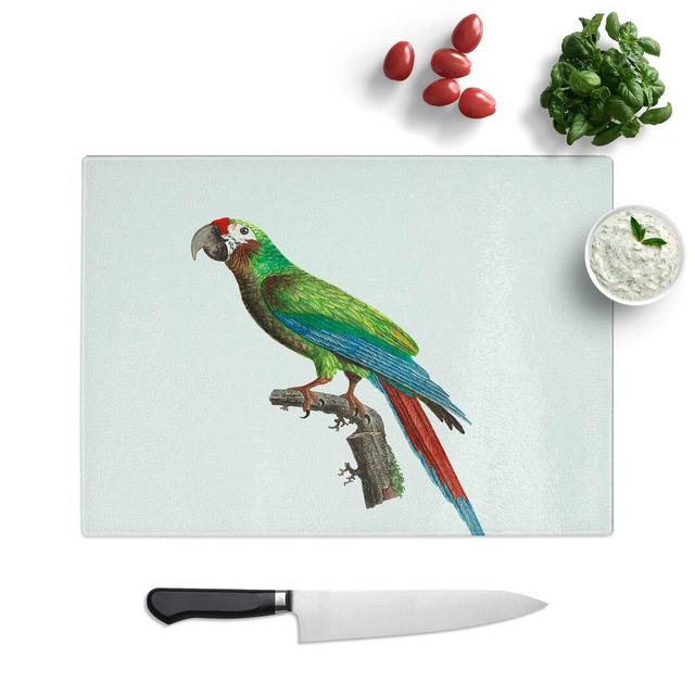 Glass Great Military Macaw Parrot by F. Levaillant Chopping Board East Urban Home Size: 39 cm W x 28.5 cm L on Productcaster.